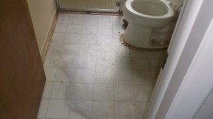 Water Damage: Flooding Under Linoleum in Bathrooom
