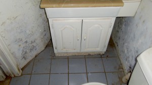 Mold Damage